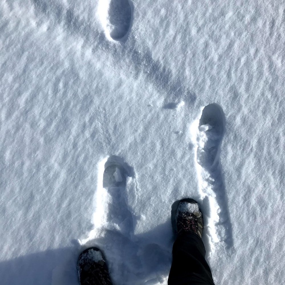 Meet your Posher, Brin